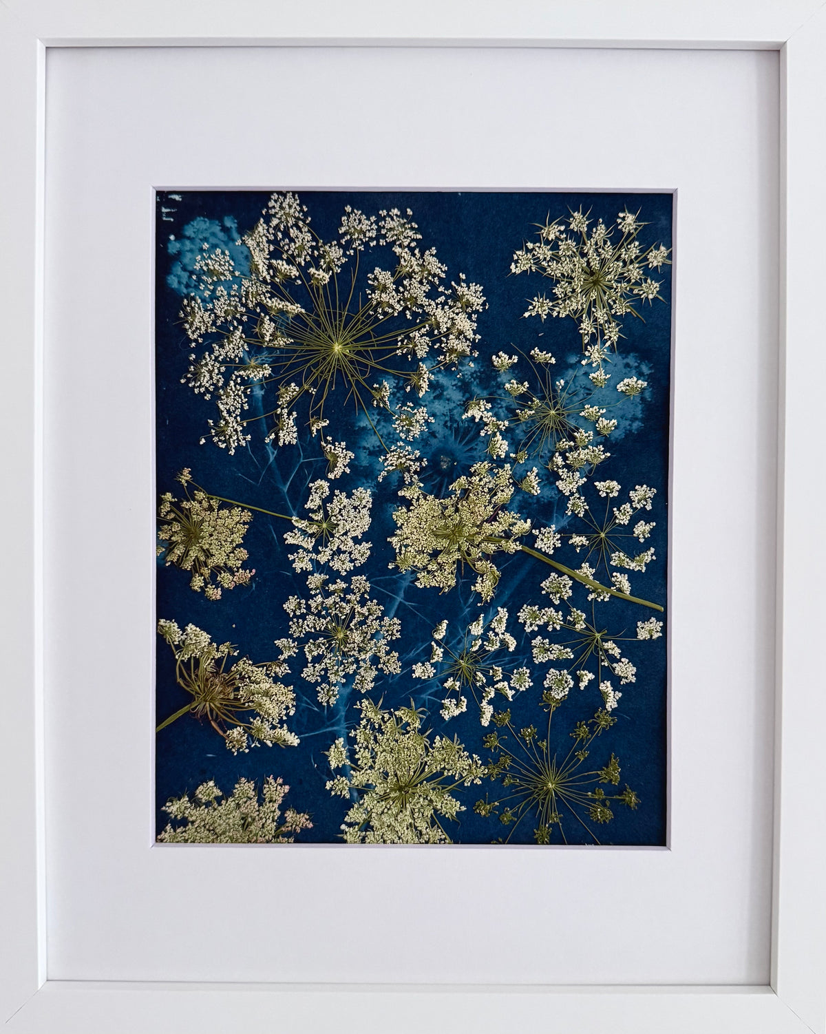 Mixed Media - Queen Anne's Lace image 0