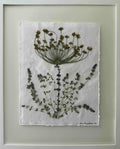Herb Garden — Pressed Dill & Thyme