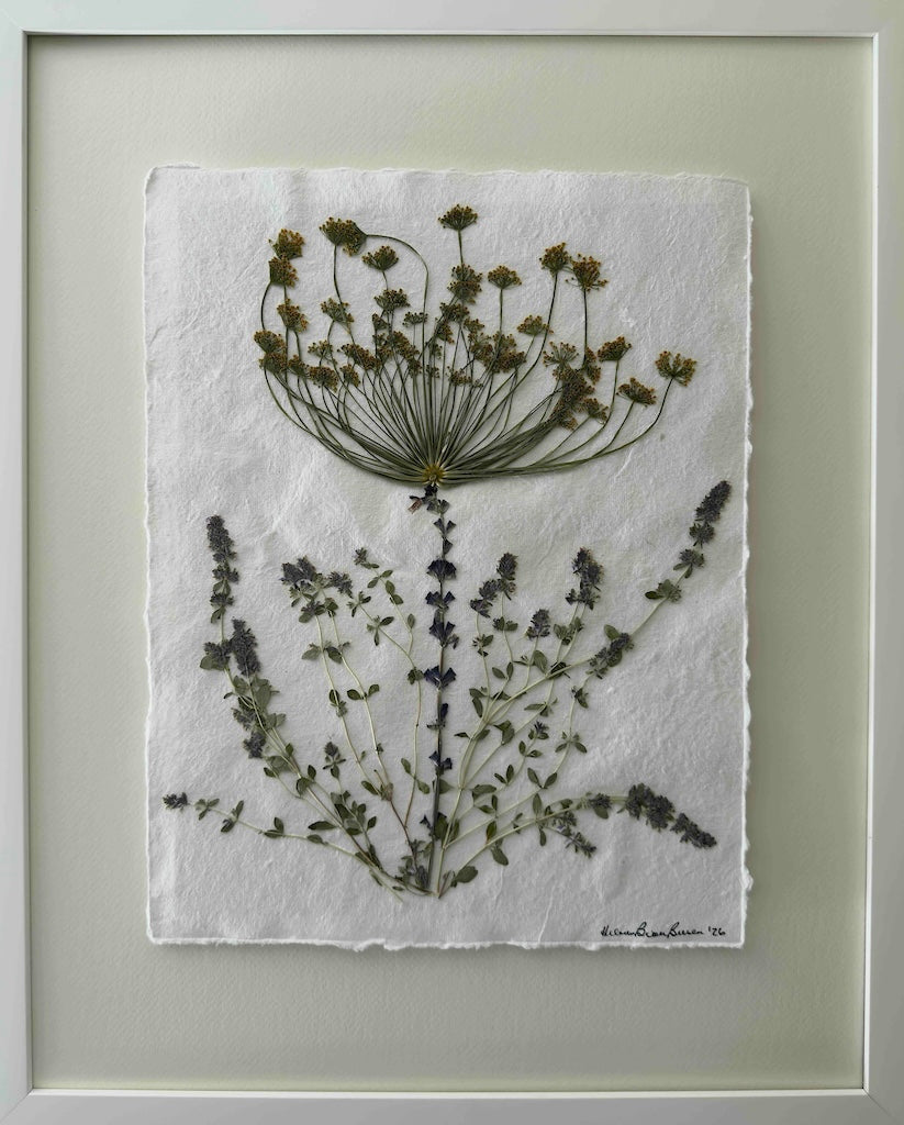 Herb Garden — Pressed Dill & Thyme